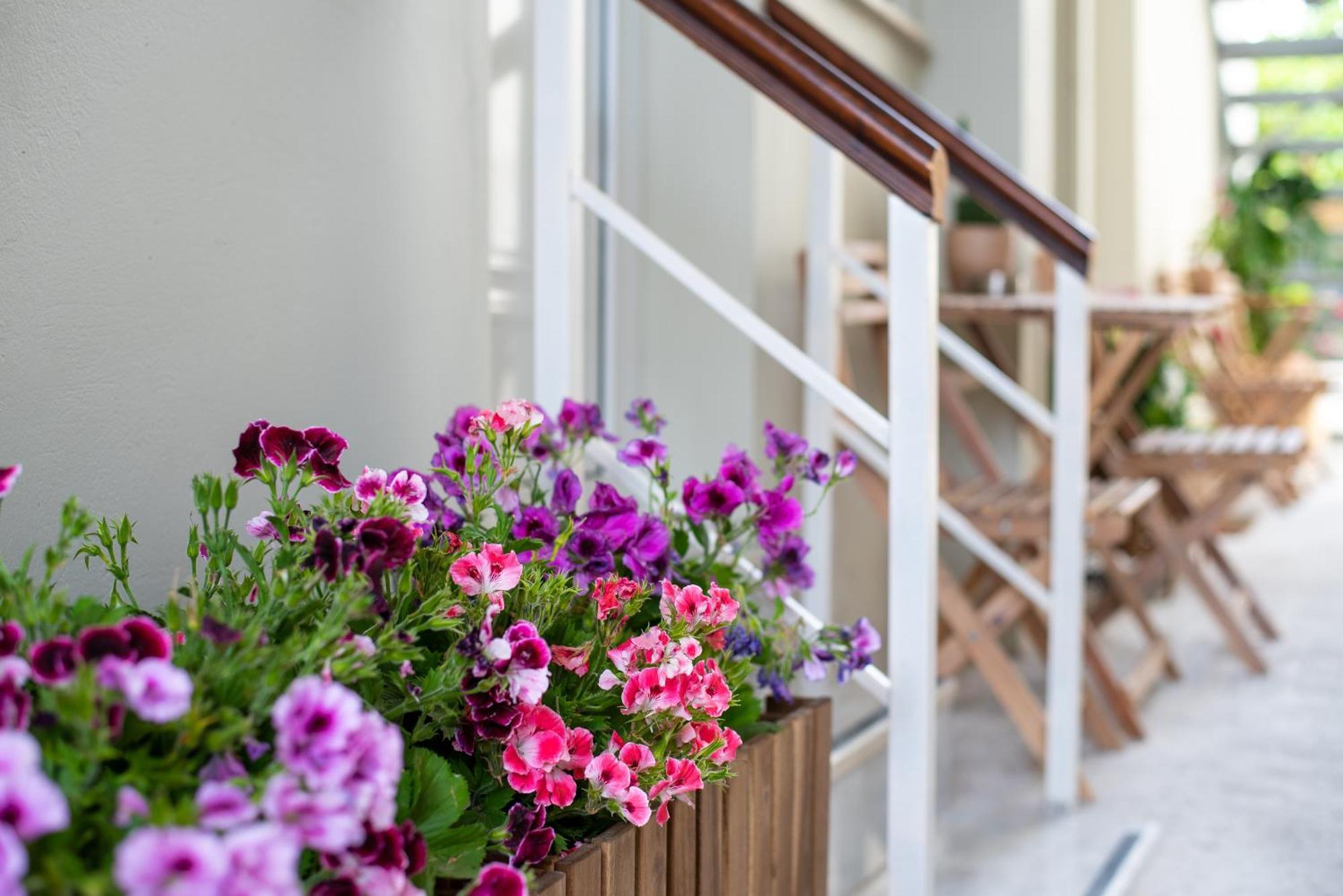 Daire Harmony - Brand New Airport Apt.